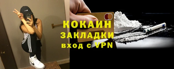 стаф Арсеньев