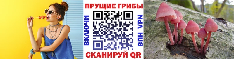 Псилоцибиновые грибы Magic Shrooms  наркотики  Долгопрудный 